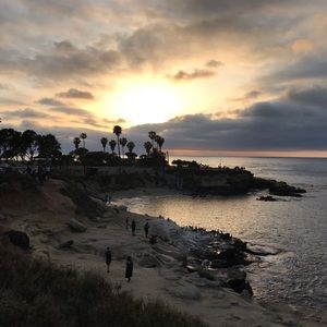 Meet your Posher, Zita